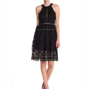 MAX & ASH Lace Halter Little Black Dress